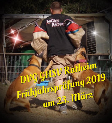 Dvg hund mit ipo 3 auf bh fuhren